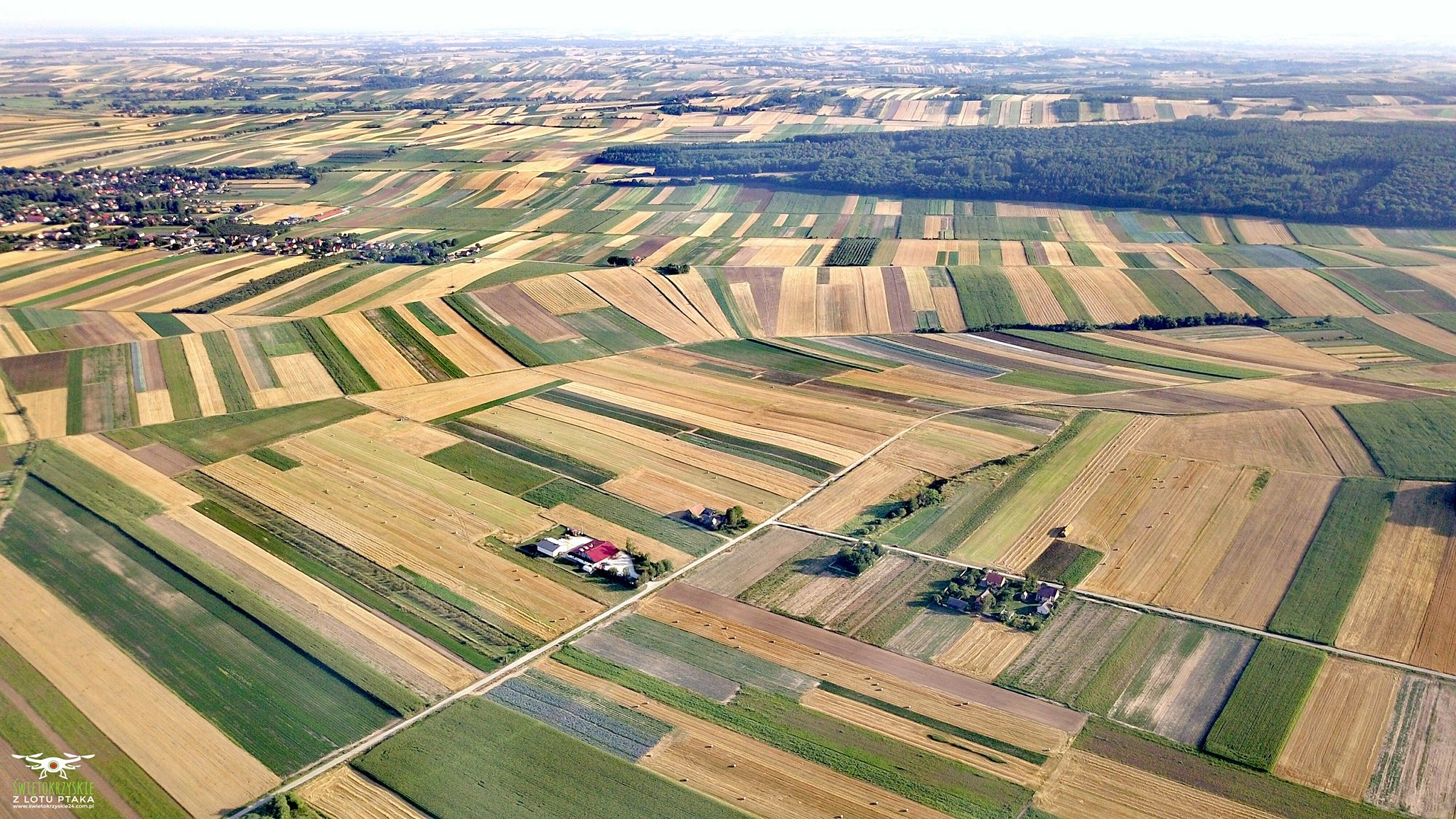 Fabrica AGROPOLE – legume uscate, ierburi, condimente